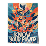 Connaissez votre pouvoir 2 - Affiche